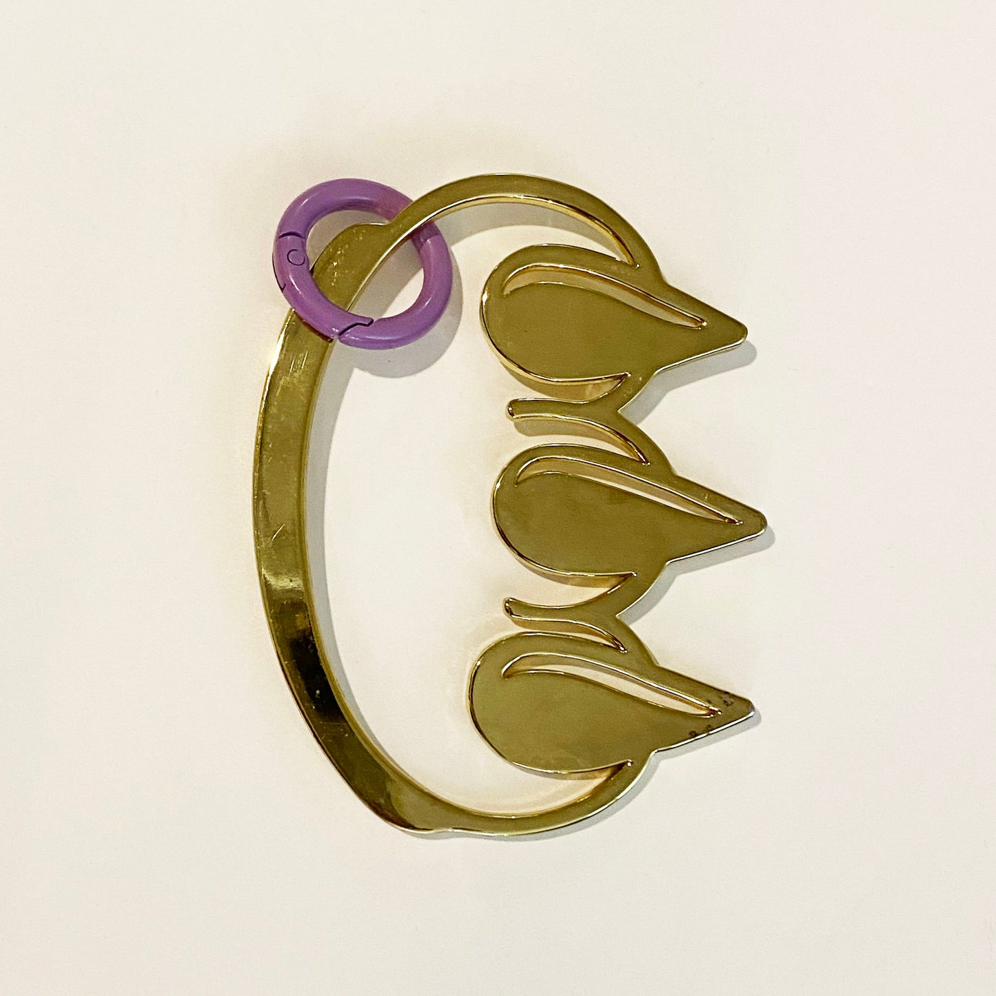 LIMITED COLORED CARABINERS